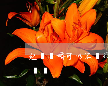 起訴離婚可以不請律師嗎?(起訴離婚需要請律師嗎)
