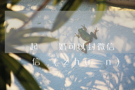 起訴離婚可以封微信嗎(離婚起訴可以要回微信轉(zhuǎn)賬嗎)