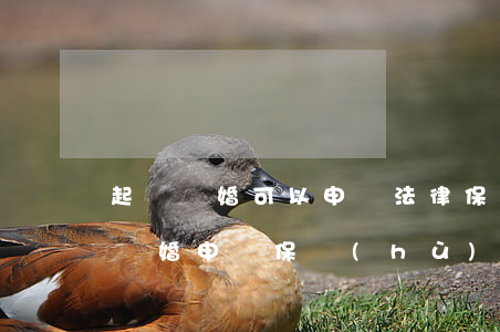 起訴離婚可以申請法律保護(hù)嗎(起訴離婚申請保護(hù)令)