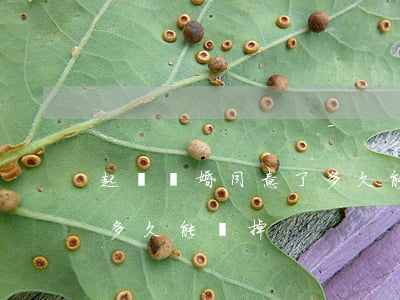 起訴離婚同意了多久能離掉(起訴離婚同意了多久能離掉)