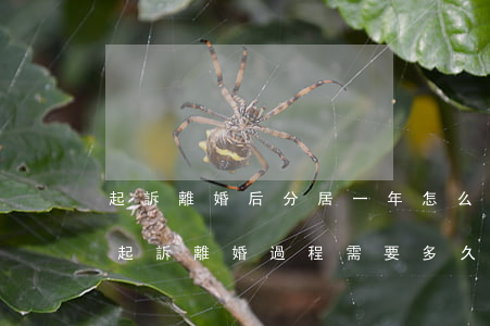 起訴離婚后分居一年怎么辦(分居兩年多了、起訴離婚過程需要多久)