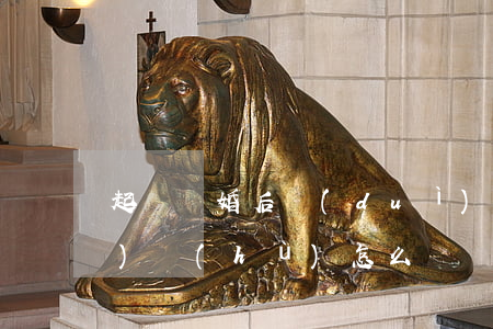 起訴離婚后對(duì)方不給過(guò)戶(hù)怎么辦