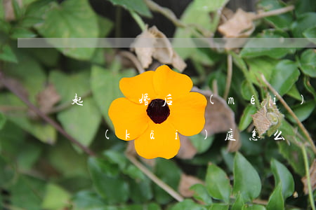 起訴離婚后沒(méi)時(shí)間去開(kāi)庭怎么辦(起訴離婚后一般多久會(huì)開(kāi)庭)