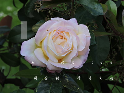 起訴離婚后財(cái)產(chǎn)如何分割(離婚后又起訴分割財(cái)產(chǎn))