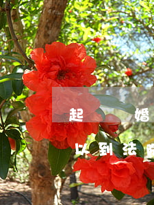 起訴離婚在哪個法院都可以嗎(什么情況下可以到法院起訴離婚)