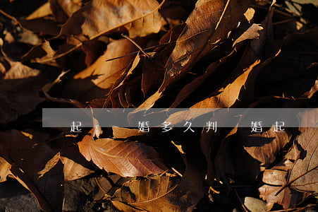 起訴離婚多久判離婚(起訴離婚需要多久)