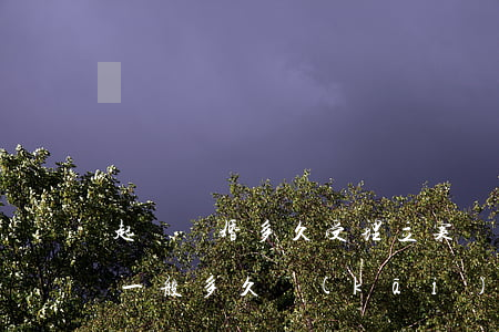 起訴離婚多久受理立案(離婚案件法院受理了一般多久開(kāi)始審理)