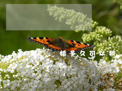 起訴離婚多久可以判離掉(起訴離婚多久就能離了)