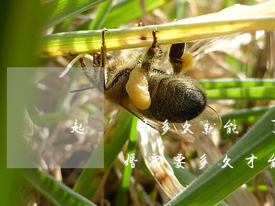 起訴離婚多久就能離了(現(xiàn)在起訴離婚需要多久才能離了)