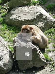 起訴離婚多久(起訴離婚多久通知對方)