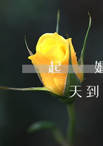 起訴離婚多少天接到判決書(離婚起訴書一般幾天到達(dá)被告手)