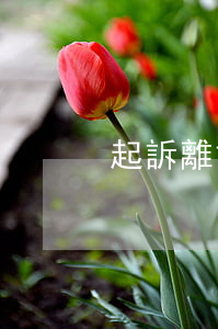 起訴離婚多少錢(起訴離婚多少錢請律師)