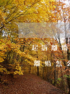 起訴離婚女方不同意離婚怎么辦(女方不同意離婚怎么辦?)