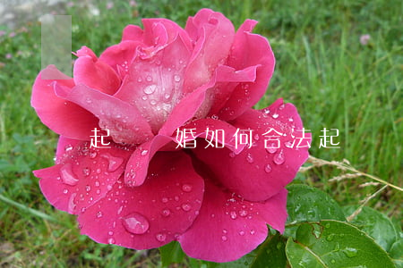 起訴離婚如何合法(起訴離婚怎么搞)