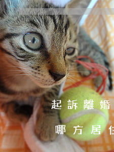 起訴離婚如何證明老公的居住地(起訴離婚在哪方居住地法院)