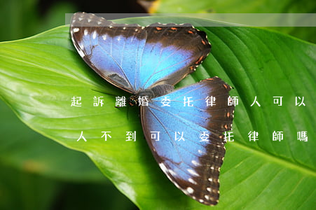 起訴離婚委托律師人可以不用過去嗎(離婚本人不到可以委托律師嗎)