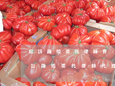 起訴離婚委托律師費(fèi)用多少錢(訴訟離婚委托律師代理多少錢)