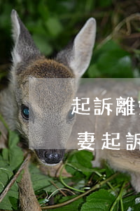 起訴離婚婚前財產(chǎn)怎樣分割(夫妻起訴離婚婚后財產(chǎn)怎么分)