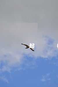起訴離婚害怕對方打我(起訴離婚怕被打怎么辦)