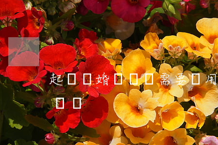 起訴離婚寫訴狀需要費用嗎(離婚起訴怎么寫訴狀)