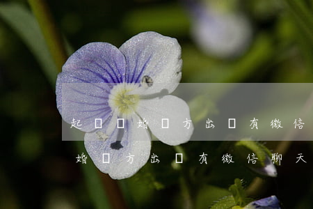 起訴離婚對方出軌有微信聊天記錄-起訴離婚對方出軌有微信聊天記錄可以嗎