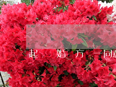 起訴離婚對方萬一同意離婚怎么辦