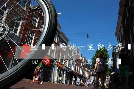 起訴離婚就一定能立案嗎(離婚訴訟必須網(wǎng)上立案嗎)