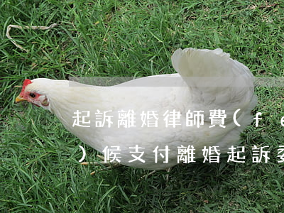 起訴離婚律師費(fèi)什么時(shí)候支付(離婚起訴委托律師費(fèi)多少錢)