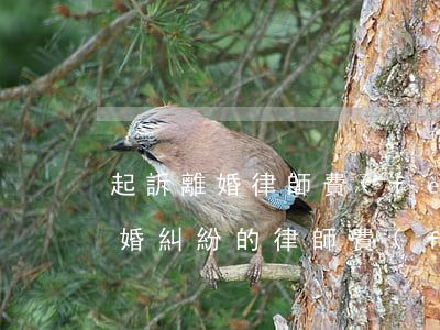 起訴離婚律師費(fèi)用大概多少錢(離婚糾紛的律師費(fèi)用大概多少)