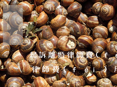 起訴離婚律師費(fèi)用(深圳起訴離婚律師費(fèi)用)