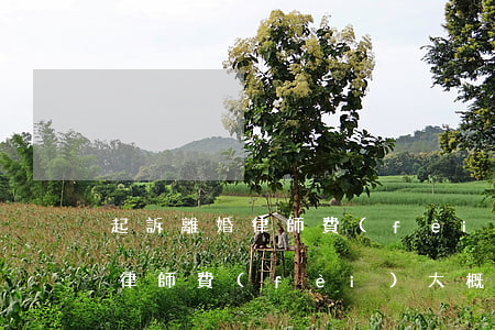 起訴離婚律師費(fèi)需要多少錢(離婚律師費(fèi)大概多少)