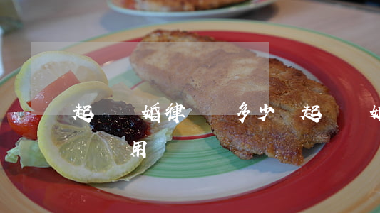 起訴離婚律師費多少錢(起訴離婚律師費多少錢費用)