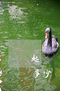 起訴離婚律師費需要多少錢(法院離婚律師費多少錢)