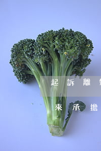 起訴離婚律師(起訴離婚律師費(fèi)誰來承擔(dān))