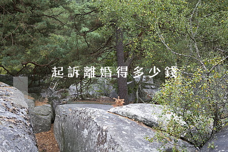 起訴離婚得多少錢