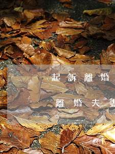 起訴離婚怎么分財產(chǎn)(法院起訴離婚夫妻財產(chǎn)一般怎么分配)
