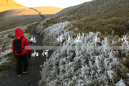 起訴離婚怎么寫起訴離婚書(起訴離婚起訴書如何寫)