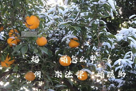 起訴離婚怎么申請(qǐng)法律援助(如何尋求法律離婚援助)