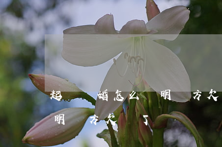 起訴離婚怎么證明對方欠錢 起訴離婚怎么證明對方欠錢了