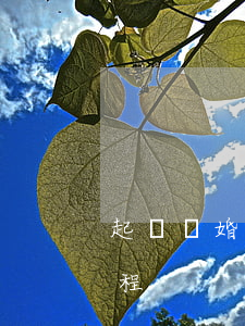 起訴離婚怎么辦理流程(起訴離婚步驟以及流程)