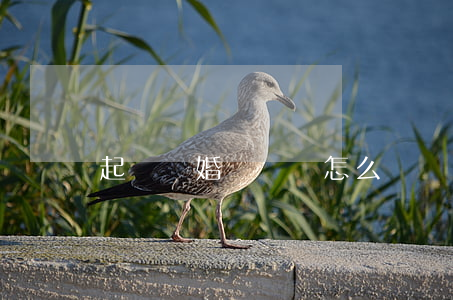 起訴離婚應訴書怎么寫