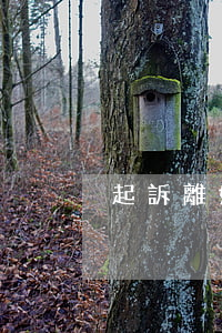 起訴離婚應該怎么做(起訴離婚應該怎么做)