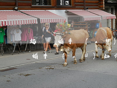 起訴離婚手續(xù)如何辦理，異地起訴離婚手續(xù)如何辦理