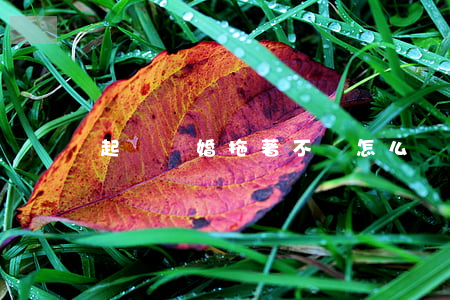 起訴離婚拖著不離怎么辦