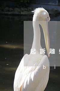 起訴離婚撫養(yǎng)費(fèi)標(biāo)準(zhǔn)是(起訴離婚撫養(yǎng)費(fèi)標(biāo)準(zhǔn)是)