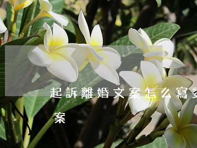 起訴離婚文案怎么寫(委婉的表達我離婚了文案)