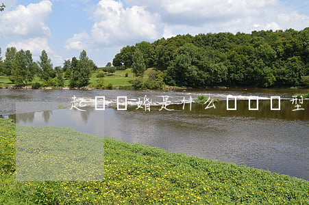 起訴離婚是什么糾紛類型(哪些離婚訴訟)