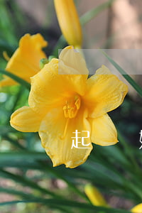 起訴離婚是先交錢還是后交錢(起訴離婚交了訴訟費(fèi)后下一步)