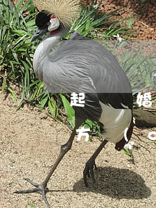 起訴離婚時(shí)可以查對(duì)方財(cái)產(chǎn)嗎(起訴離婚查對(duì)方財(cái)產(chǎn)可以查多長(zhǎng)時(shí)間的)