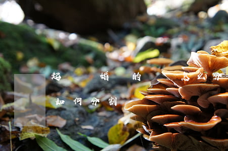 起訴離婚時的財產怎么分割(起訴離婚后財產如何分割)